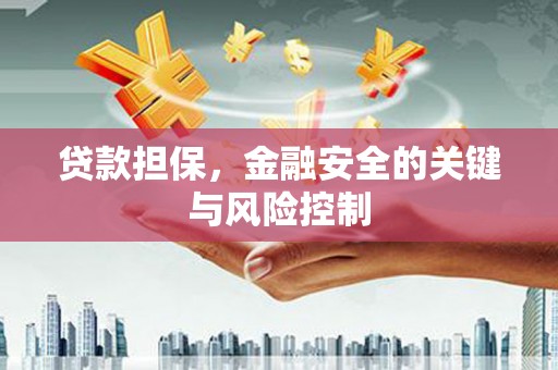 台湾贷款担保，金融安全的关键与风险控制